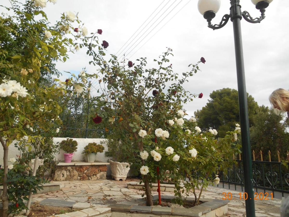 Melios Rooms Petalídhion Dış mekan fotoğraf
