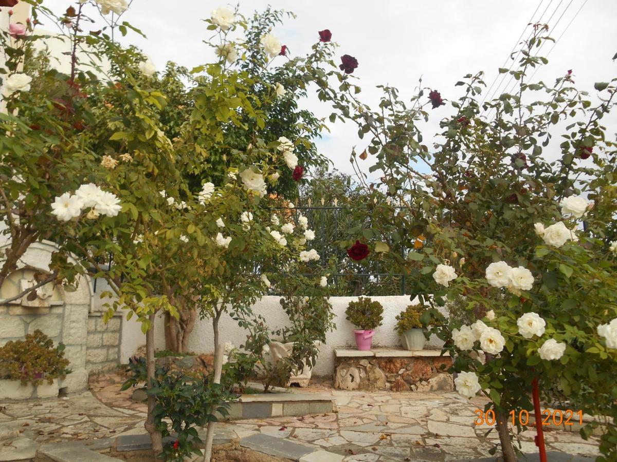 Melios Rooms Petalídhion Dış mekan fotoğraf